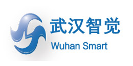武漢智覺(jué)